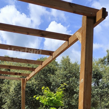 Pergola en bois 3x3 m. Poteaux 9x9 cm.